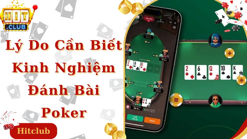 Lý do newbie cần học hỏi kinh nghiệm đánh bài poker