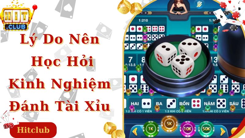 Lý do nên học hỏi kinh nghiệm đánh tài xỉu online