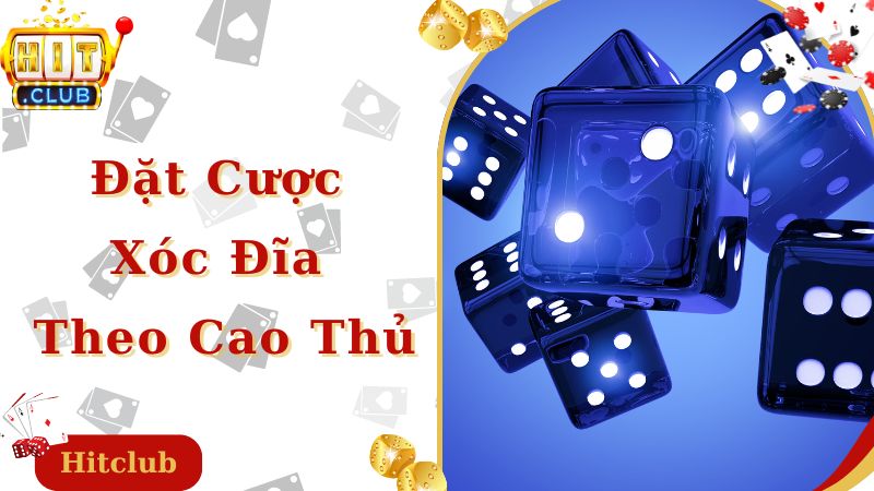 Kinh nghiệm đánh xóc đĩa online đặt cược theo cao thủ