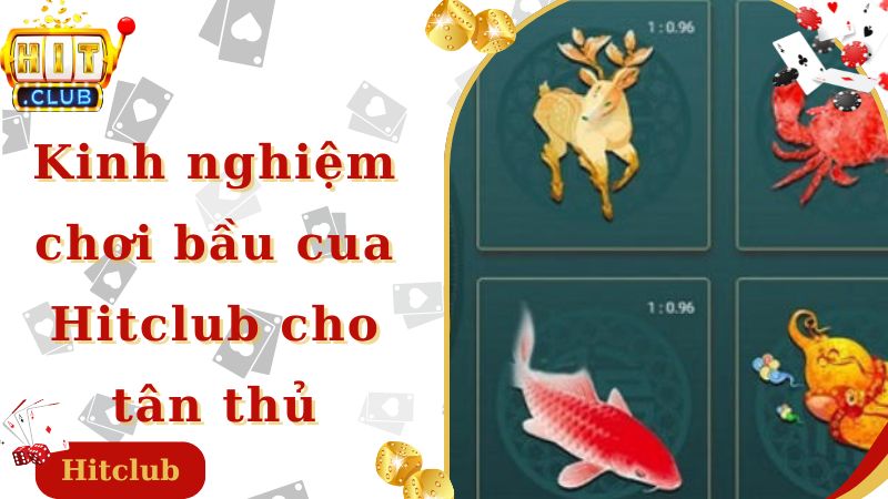 Kinh nghiệm chơi bầu cua Hitclub cho tân thủ